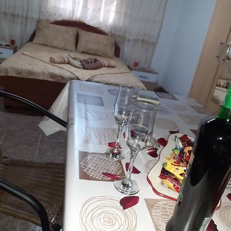 Studio-Apartman Milena 2 Podgorica Ngoại thất bức ảnh