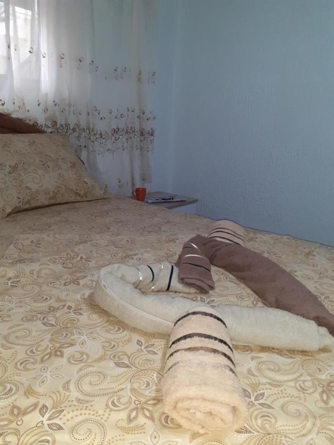Studio-Apartman Milena 2 Podgorica Ngoại thất bức ảnh